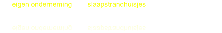 Uw eigen onderneming met slaapstrandhuisjes?
Wij helpen u graag op weg!

